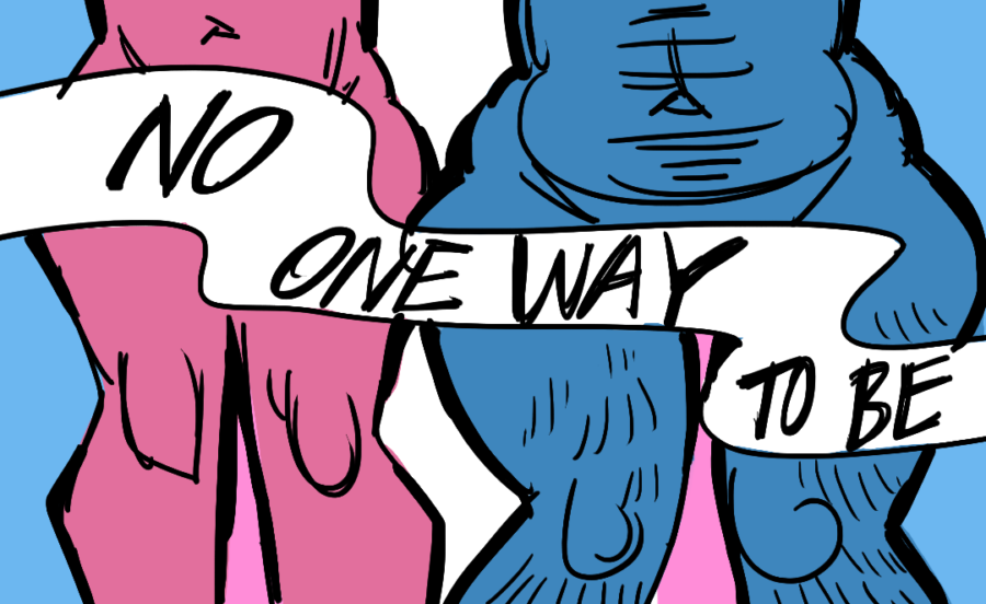 Genitalia =/= Gender or Attraction Basis and Casual Transphobia in the Cis Community