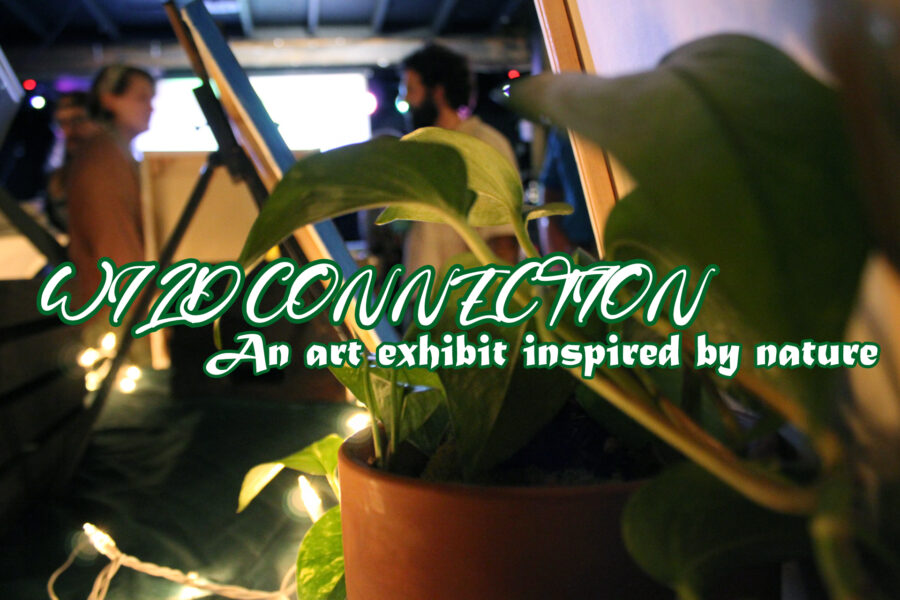 ‘Wild Connection; An Art Exhibit Inspired by Nature’ benefiting Save Northeast Denton 10/26/23 Experience