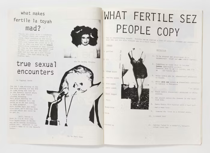 Inner spread of the Fertile La Toyah Jackson zine.